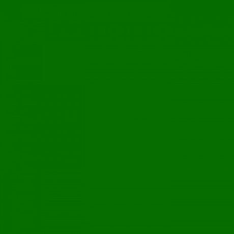 Cartoncino portafoto 25 fogli 70x50cm 300gr. verde erba