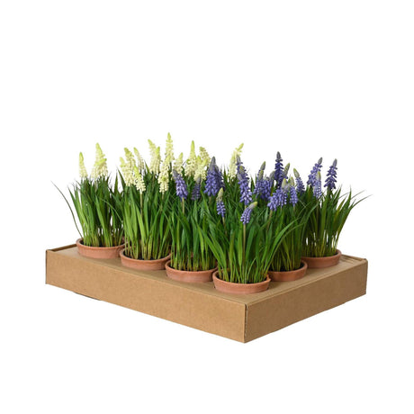 Decoris pianta artificiale uva in vaso ø11xh26cm 2 assortiti