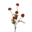Roberts collection pompom tak 52cm light coffee