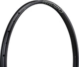 Cerchio Chromag fase30 disco 29