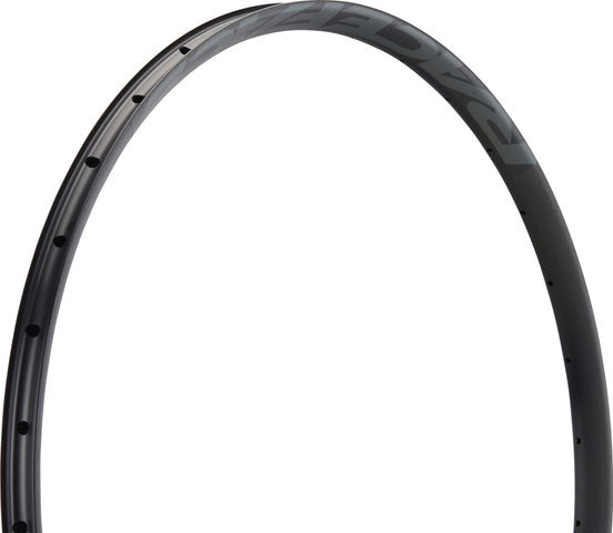 Raceface ar offset 25 29 cerchio
