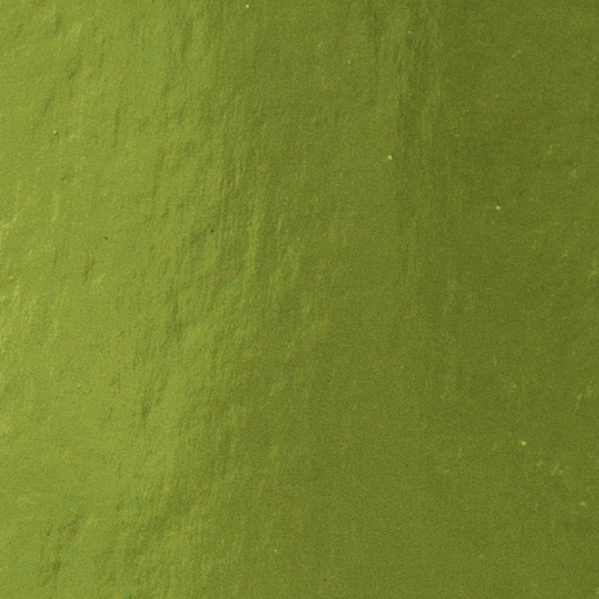 Tonic Studios • cartoncino specchiato a4x5 verde agrifoglio