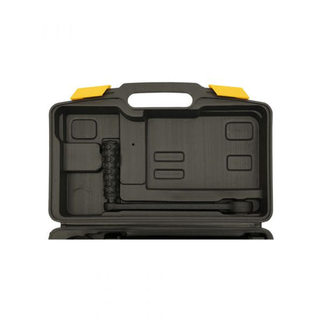 Amplificatore di coppia Topgear