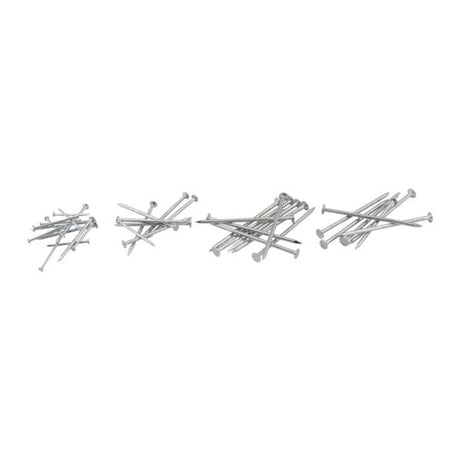 Assortimento di Spijkers 1090 Dlg.
