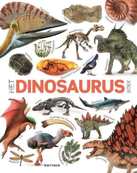 Gruppo editoriale Gottmer il libro sui dinosauri. 8+