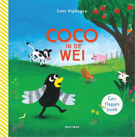 Libro in cartone del gruppo editoriale Gottmer: cocco nel prato 1+