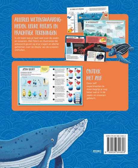 Rebo editori il mare: cosa, come, perché 6+