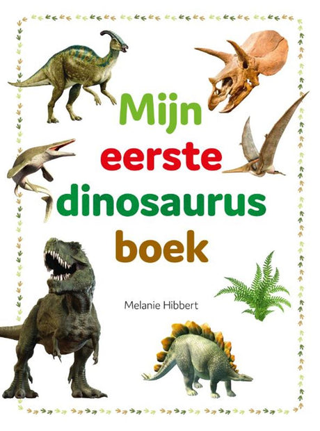 Editori Rebo il mio primo libro sui dinosauri 4+