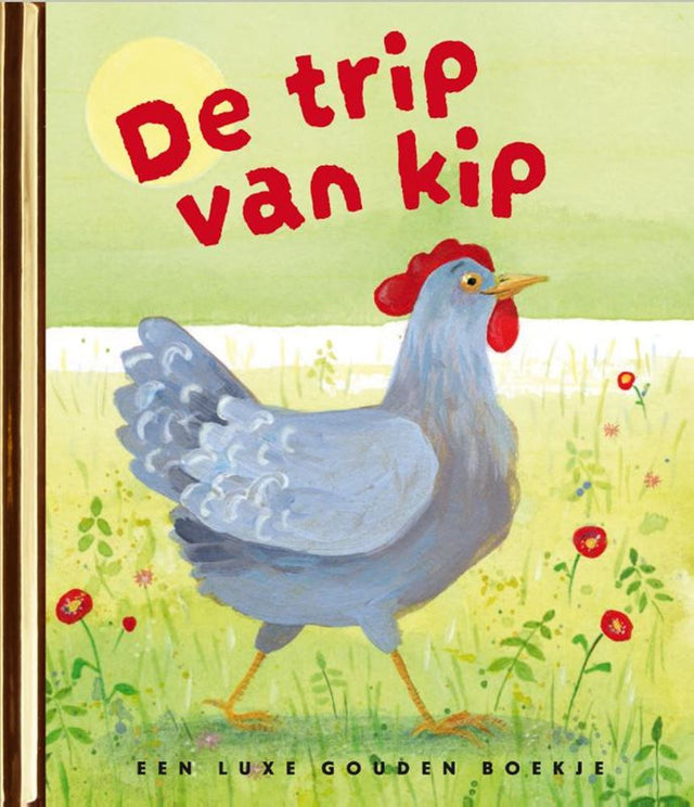 Piccolo libro d'oro: il viaggio del pollo 3+