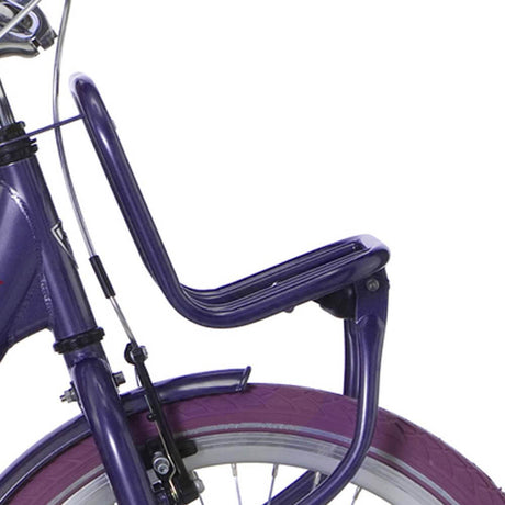 Supporto Avant Alpina 22 clubb viola grigio