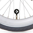 Tappo valvola Alpina d v con logo