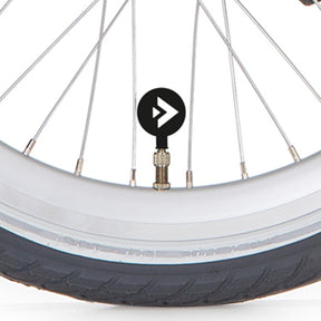Tappo valvola Alpina d v con logo