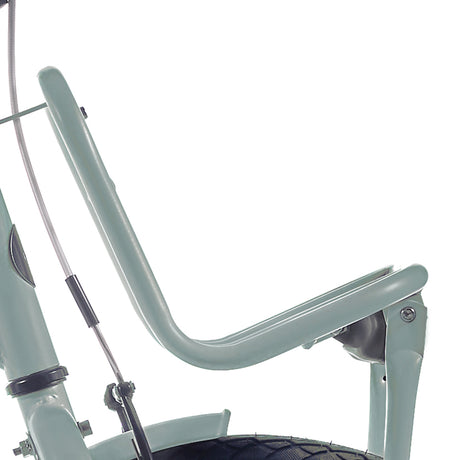 Portapacchi anteriore Alpina 22 clubb soft mint opaco