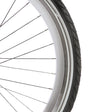 Cerchio Alpina 26 hl20dc argento