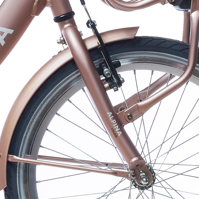ALPINA FORK 22 CLUBB ROSE GOLD MATT