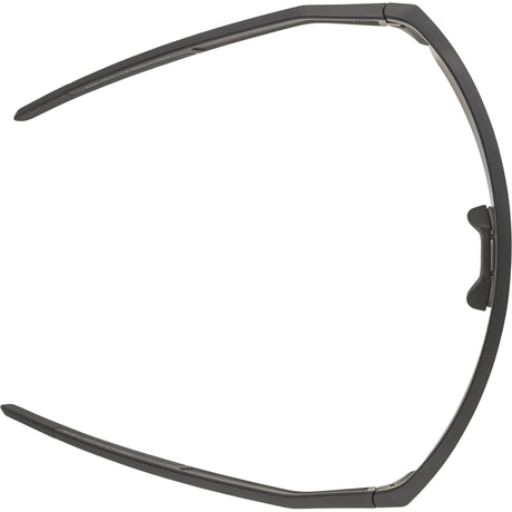 Abbigliamento sportivo olimpico Alpina Sports occhiali sportivi ram hr q-lite jade mirror lens nero