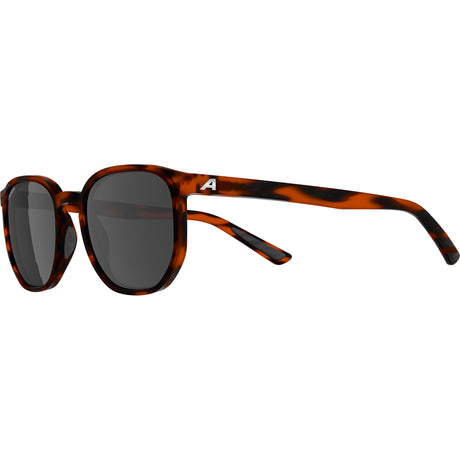 Olympic sportswear occhiali alpina sports lifestyle dimont nero lente havana