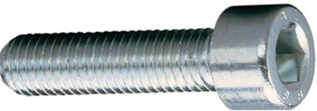 PEG BOLT di sedile m7 x 40 mm completo per 12 pezzi