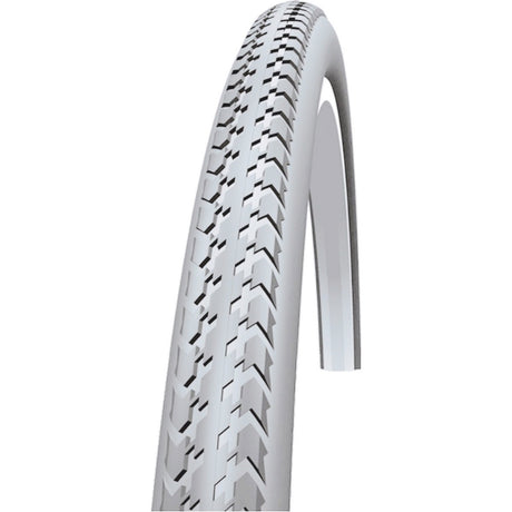Schwalbe Wire Band Basic Basic Active 37-540 Gray
