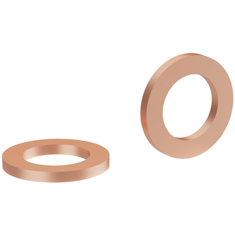 Elvedes Sealing Ring Small for Hope Snake (10x) ELV-HP04