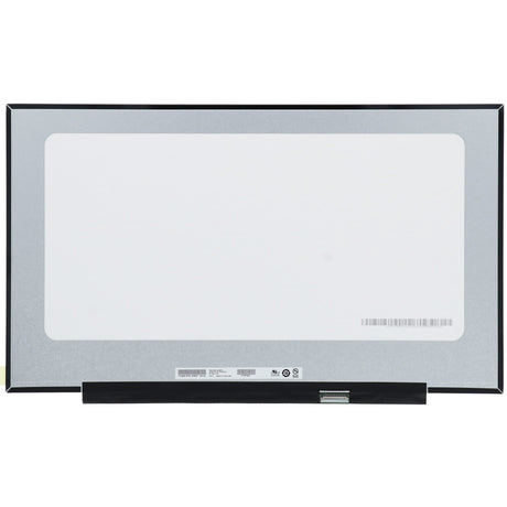Schermo LCD da 17,3 pollici 1600x900 opaco, 30 pin