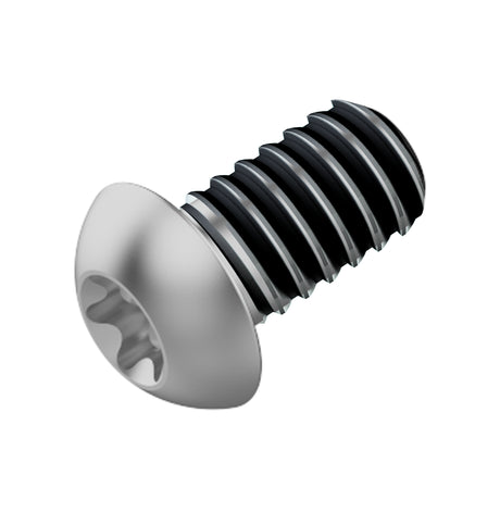 Bullone disco freno Fahrwerker m5x10 lev tl (120 pezzi)