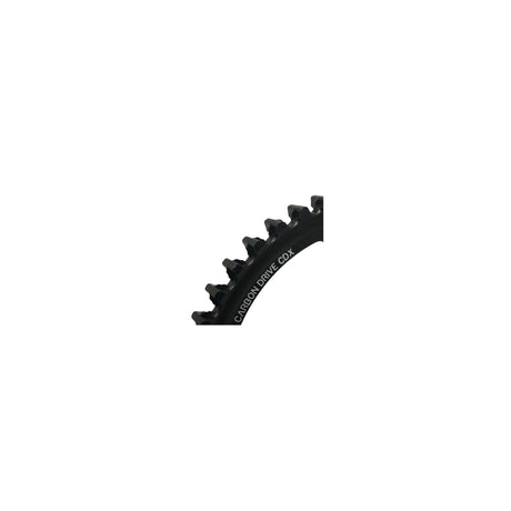 Pignone Gates in carbonio trasmissione cdx
