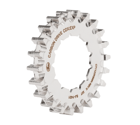 Pignone Gates cdx 22t rohloff scanalato