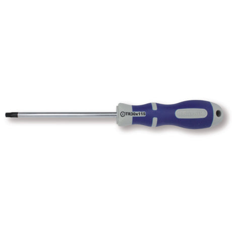 Sicurezza del cacciavite bernese Torx TOPLINE TX 30 X 115 mm