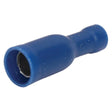 Bofix capocorda femmina rotondo 4 mm. blu