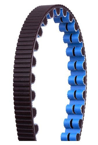 Cinghia distribuzione cancelli cdx 111 zw bl