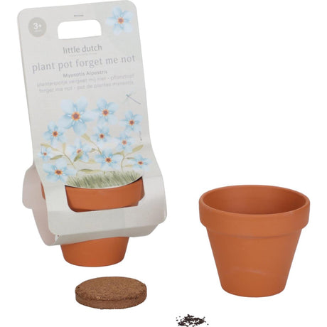 Piccolo vaso per piante olandese dei nontiscordardimé