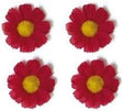 Basil Flower 4 Magrietjes Red 50188