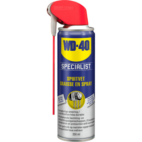 Specialista di grasso spray Wd40 da 250 ml