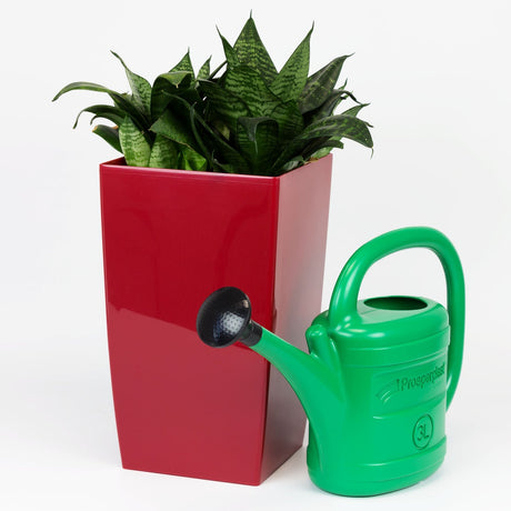Prodotti annaffiatoio in plastica verde da 3 l con beccuccio