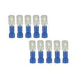 Plug cavi Bofix Man Flat Blue