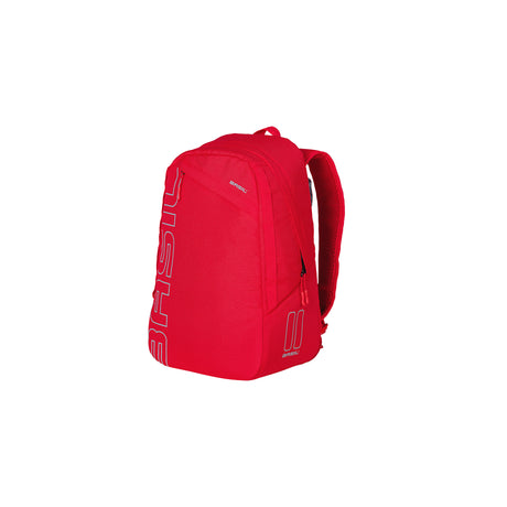 Basil Flex Backpack Bicycle Bicycle Bagcage Carrier Red