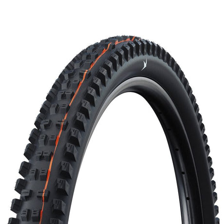 Schwalbe falltr. di cattivo gusto cha 62-622 b b gravità pro