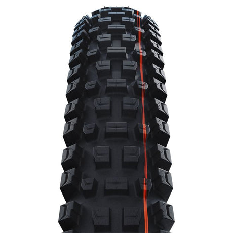 Copertone pieghevole Schwalbe Albert Evo Trail Pro 63-622 TLR nero