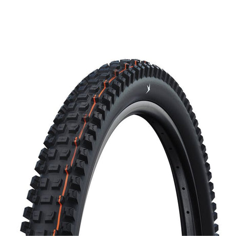 Pneumatico Schwalbe 29 Albert Trail Pro