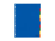 Kangaro tab finestra a4 pp 120 micron assortiti 23 fori 10 pezzi