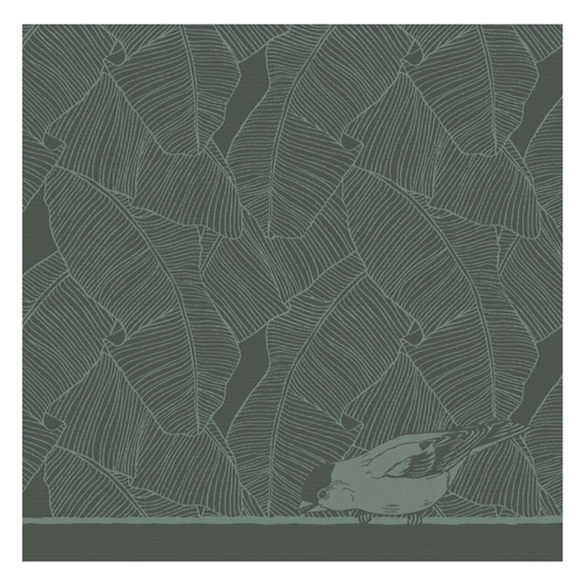 Ddddd strofinaccio uccellino 60x65 cm verde per 6 pezzi