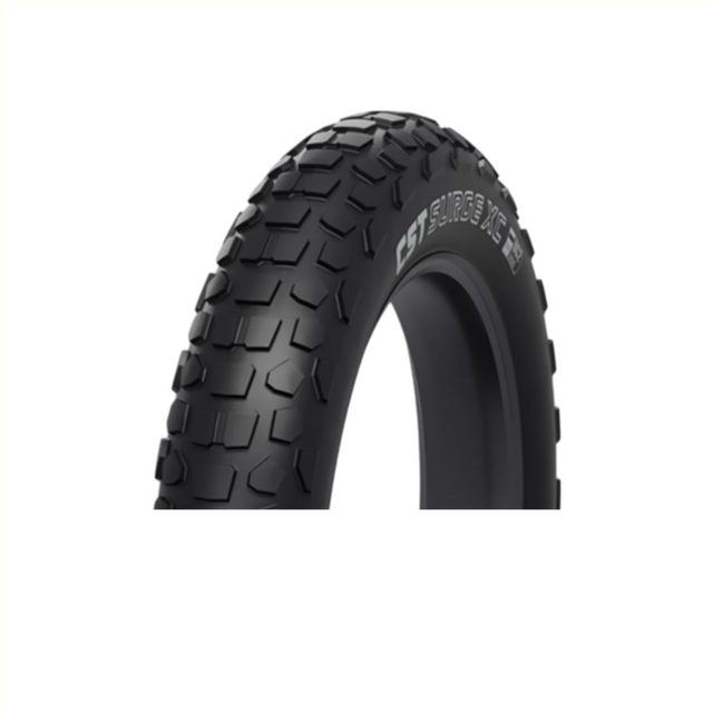 Cst ec0501a surge xc 20x4