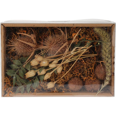 Mix di fiori secchi per l'home styling in scatola natura