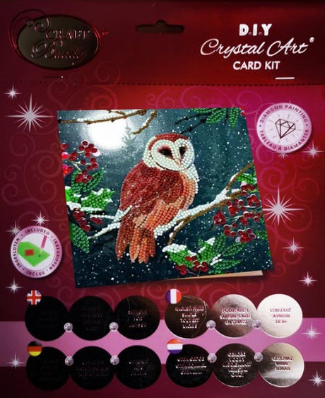 Pittura diamante Jonotoys - Cartolina di Natale con barbagianni al chiaro di luna