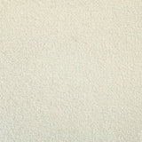 Cosmic shimmer • Polvere di velluto bianco gesso 25ml