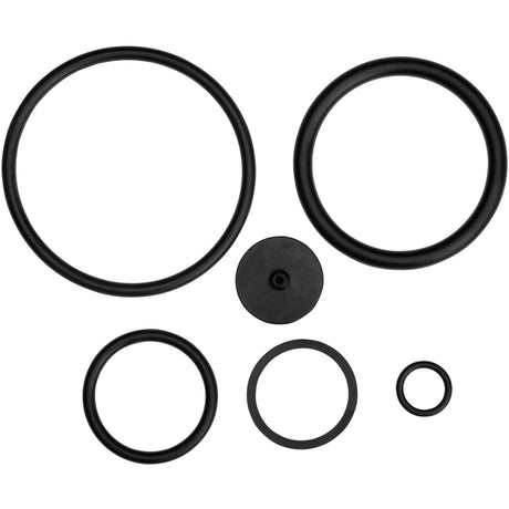 Set anelli Gardena per guarnizione spruzzatore a pressione (11162-20)