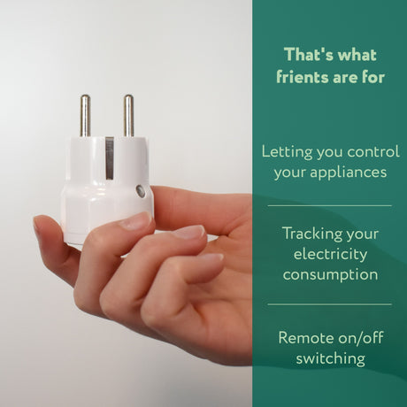 Spina smart plug Frient mini 2 tipo e (francese) (bianca, zigbee 3.0)