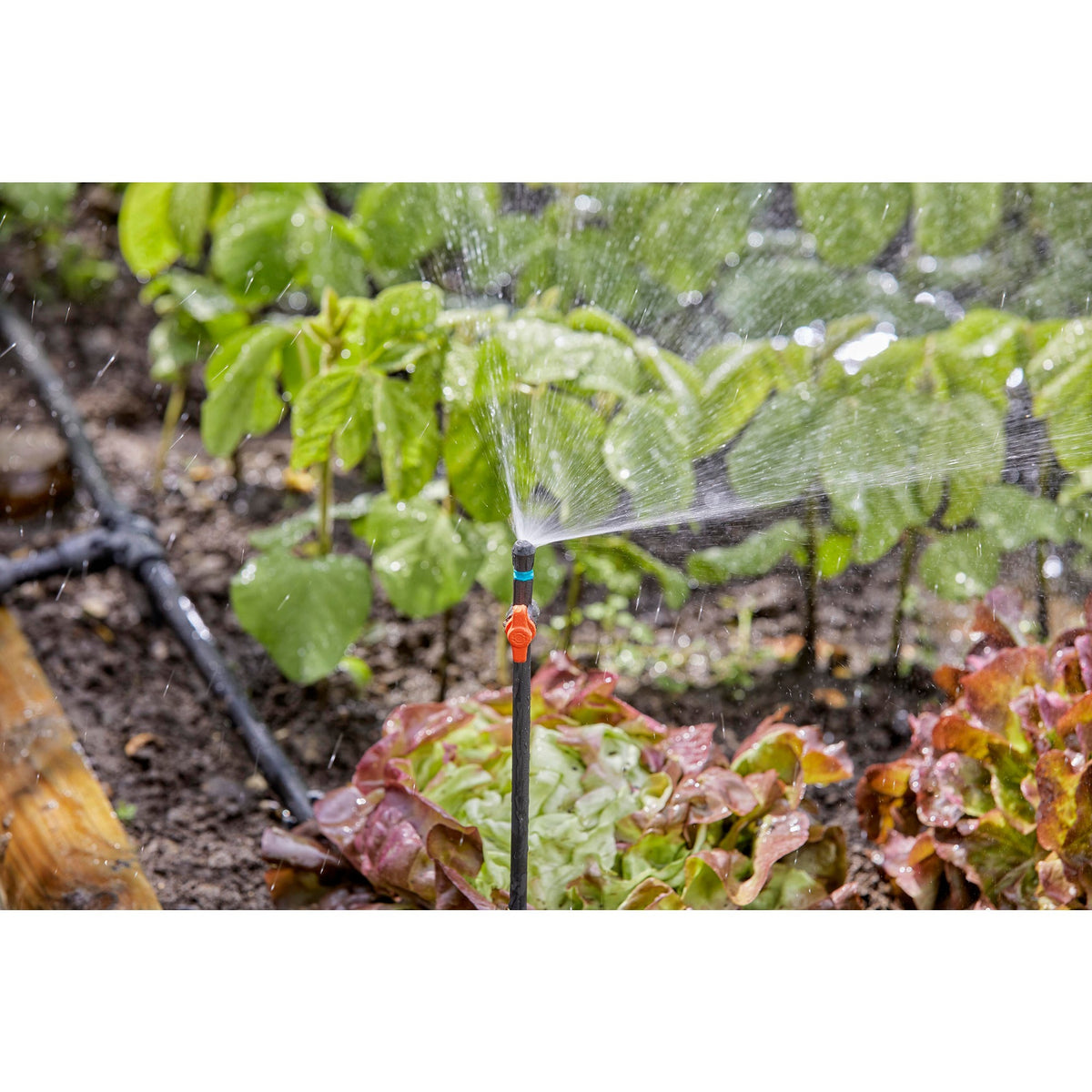 Irrigatore a microgoccia Gardena 90° (turchese nero, 5 pezzi)