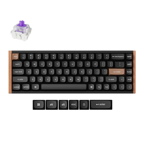 Tastiera meccanica Keychron k6 he-f1 rgb (nera, layout us (qwerty), nebulosa magnetica gateron double-rail, 65%, led rgb, osa double-shot pbt, hot swap, usb-c | 2.4 ghz | bluetooth 5.1)
